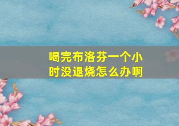 喝完布洛芬一个小时没退烧怎么办啊