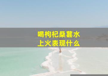 喝枸杞桑葚水上火表现什么