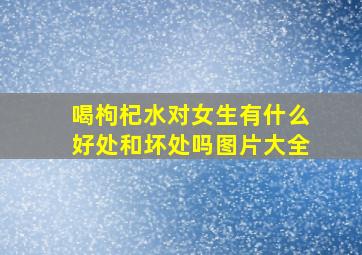 喝枸杞水对女生有什么好处和坏处吗图片大全