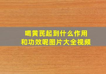 喝黄芪起到什么作用和功效呢图片大全视频