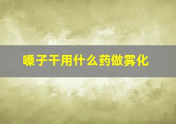 嗓子干用什么药做雾化