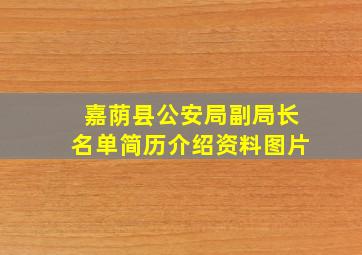 嘉荫县公安局副局长名单简历介绍资料图片