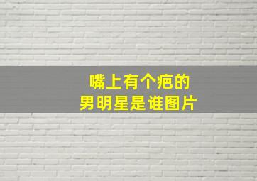 嘴上有个疤的男明星是谁图片