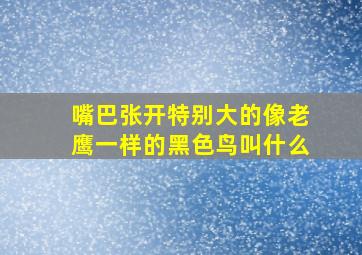 嘴巴张开特别大的像老鹰一样的黑色鸟叫什么