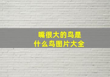 嘴很大的鸟是什么鸟图片大全