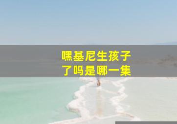 嘿基尼生孩子了吗是哪一集