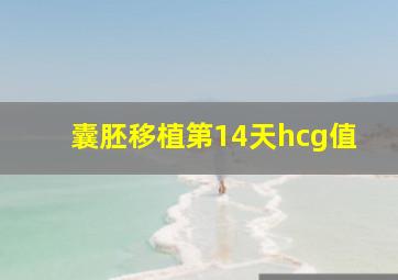 囊胚移植第14天hcg值