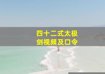 四十二式太极剑视频及口令