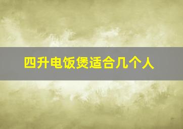 四升电饭煲适合几个人