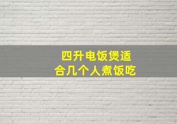 四升电饭煲适合几个人煮饭吃