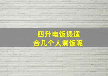 四升电饭煲适合几个人煮饭呢