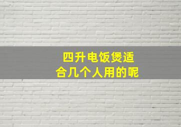 四升电饭煲适合几个人用的呢