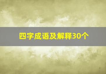 四字成语及解释30个