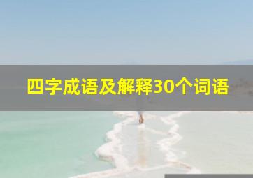 四字成语及解释30个词语