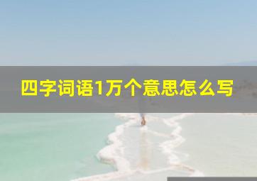 四字词语1万个意思怎么写