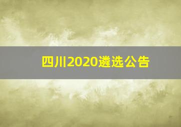 四川2020遴选公告