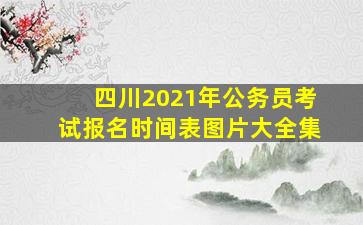 四川2021年公务员考试报名时间表图片大全集