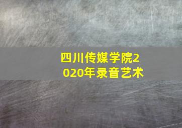 四川传媒学院2020年录音艺术