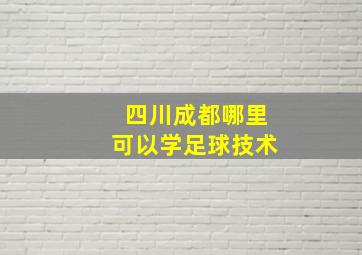 四川成都哪里可以学足球技术