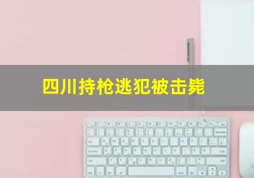 四川持枪逃犯被击毙