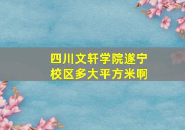 四川文轩学院遂宁校区多大平方米啊