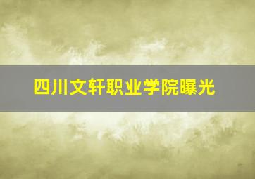 四川文轩职业学院曝光