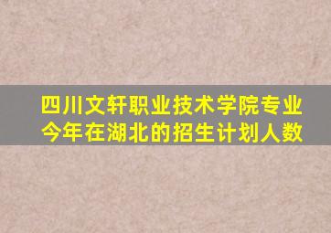 四川文轩职业技术学院专业今年在湖北的招生计划人数