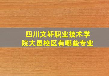 四川文轩职业技术学院大邑校区有哪些专业