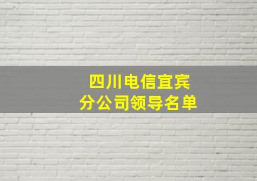 四川电信宜宾分公司领导名单