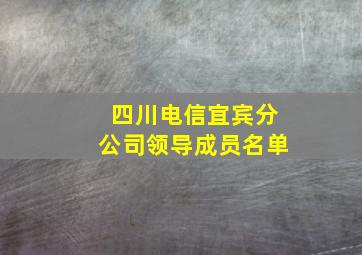 四川电信宜宾分公司领导成员名单