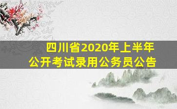 四川省2020年上半年公开考试录用公务员公告