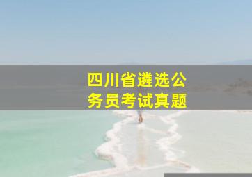 四川省遴选公务员考试真题