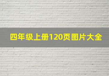 四年级上册120页图片大全