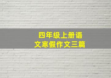 四年级上册语文寒假作文三篇