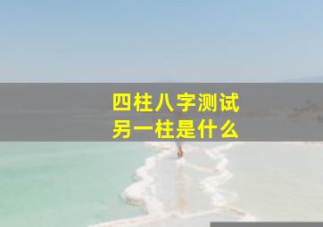 四柱八字测试另一柱是什么