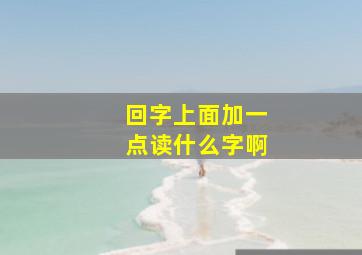 回字上面加一点读什么字啊