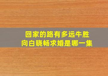 回家的路有多远牛胜向白晓畅求婚是哪一集