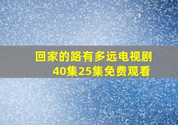 回家的路有多远电视剧40集25集免费观看