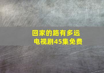 回家的路有多远电视剧45集免费