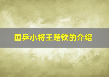 国乒小将王楚钦的介绍