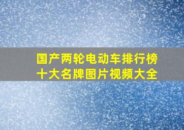 国产两轮电动车排行榜十大名牌图片视频大全