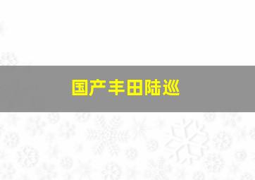 国产丰田陆巡