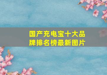 国产充电宝十大品牌排名榜最新图片