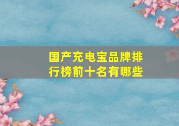 国产充电宝品牌排行榜前十名有哪些