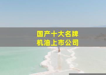 国产十大名牌机油上市公司