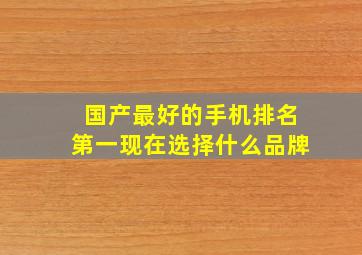 国产最好的手机排名第一现在选择什么品牌