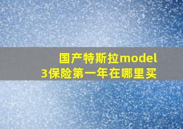 国产特斯拉model3保险第一年在哪里买