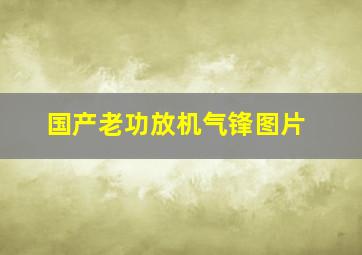 国产老功放机气锋图片