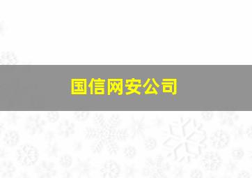 国信网安公司