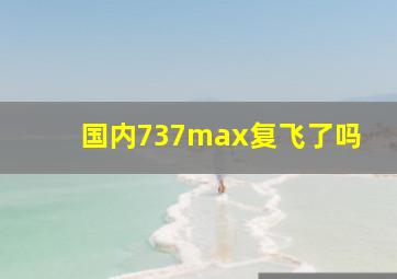 国内737max复飞了吗